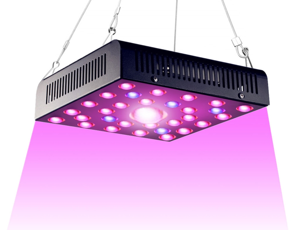 Led Horticole Derniere Generation Led Horticole Professionnel Empiretory