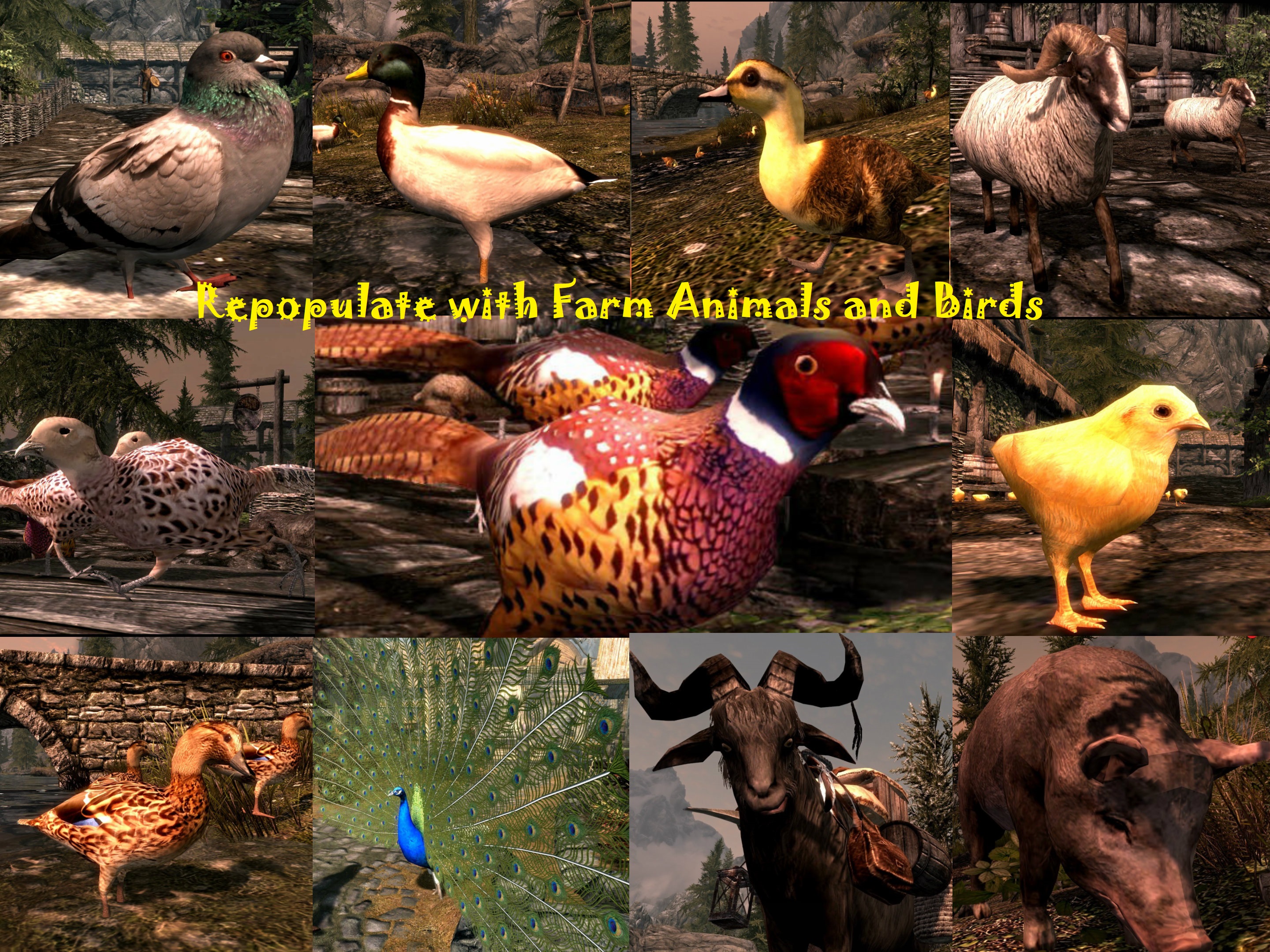 Repopulate with Farm Animals 6