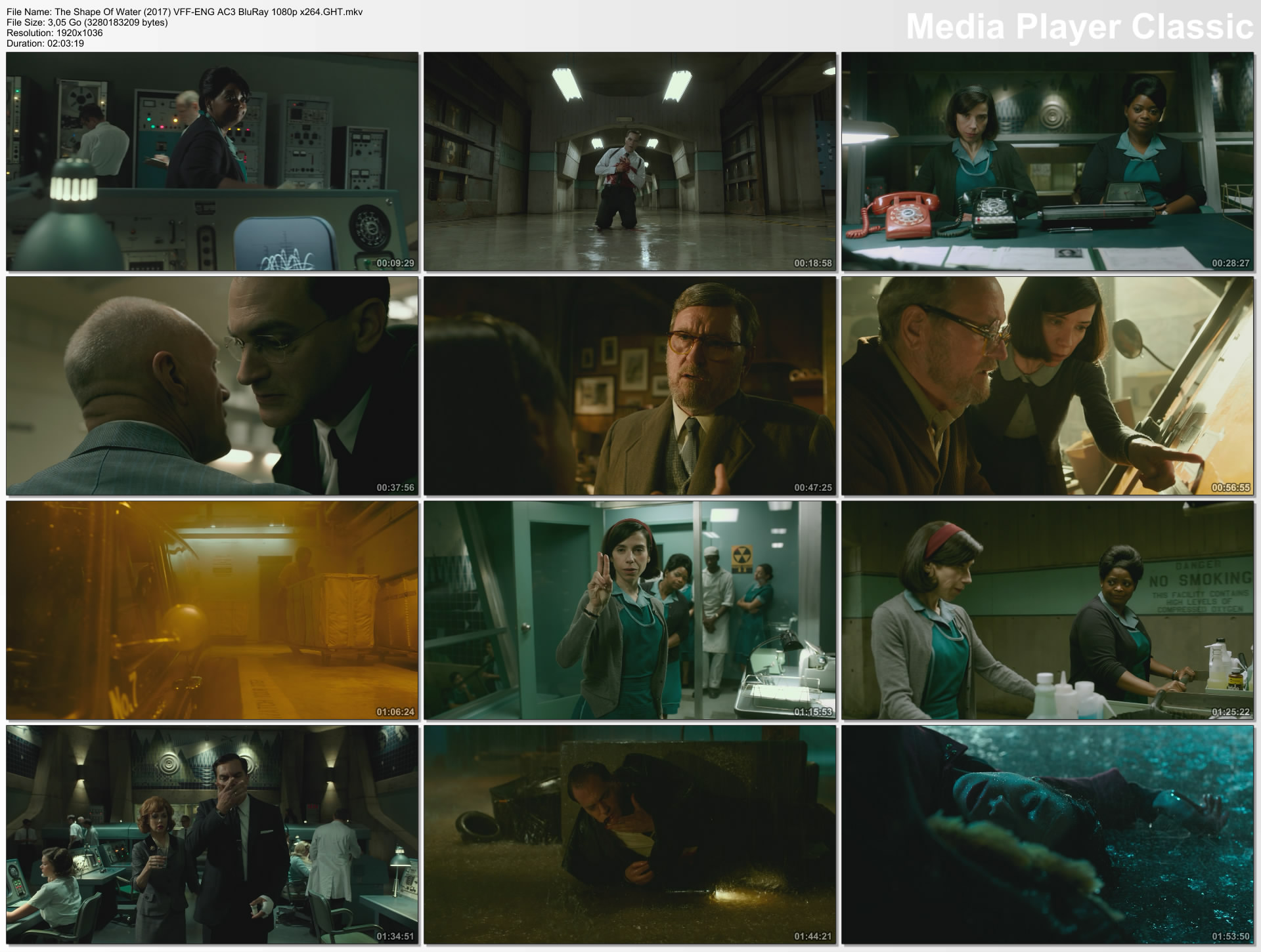 The Shape Of Water (2017) VFF-ENG AC3 BluRay 1080p x264.GHT