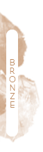 Bronze Bronze