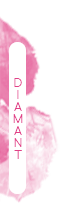 Diamant Diamant