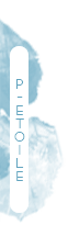 Petite étoile Petite étoile
