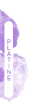 Platine Platine