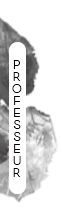 Professeur Professeur