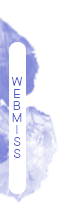 Webmiss Webmiss