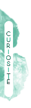 Curiosité Curiosité