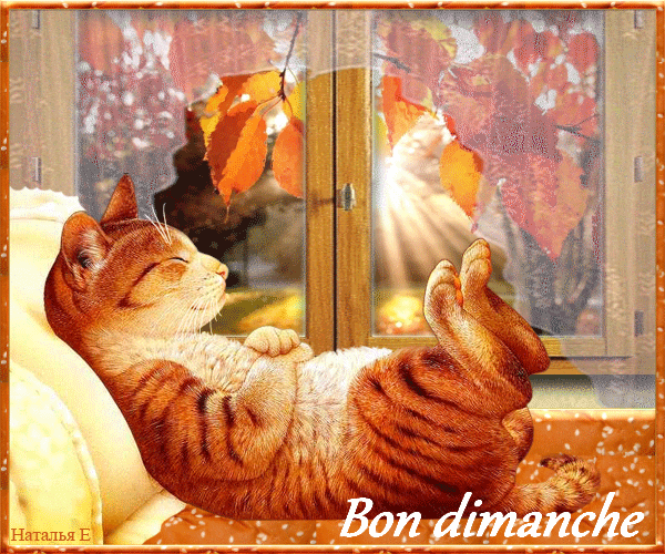 7. bon dimanche automne