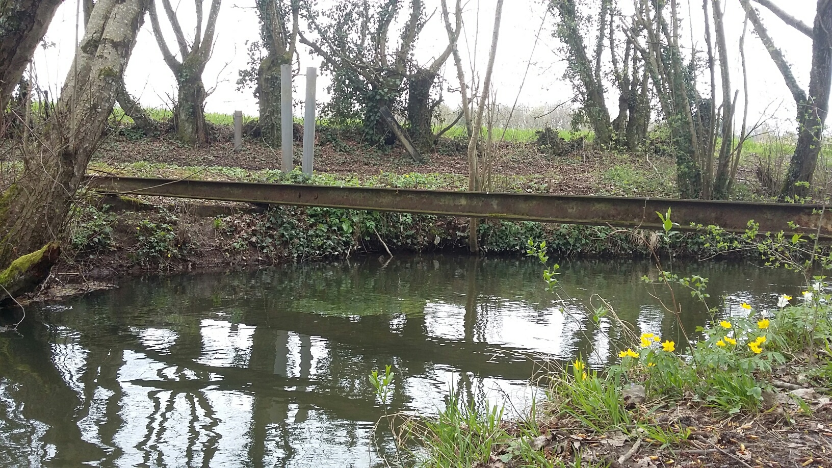 20180411_133545_resized_1