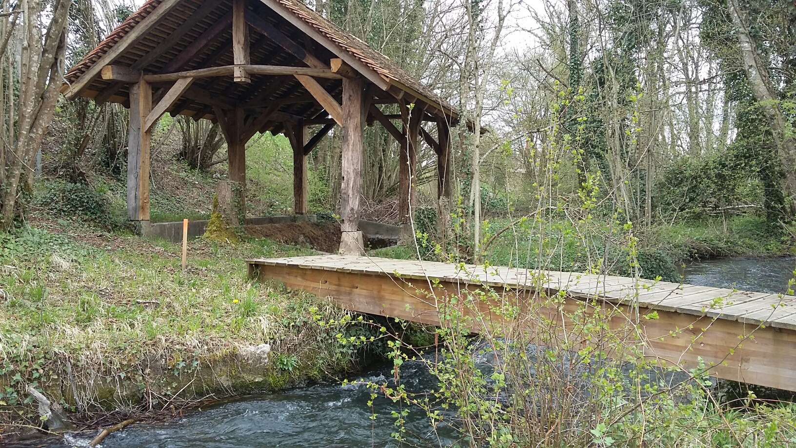 20180411_133414_resized_1