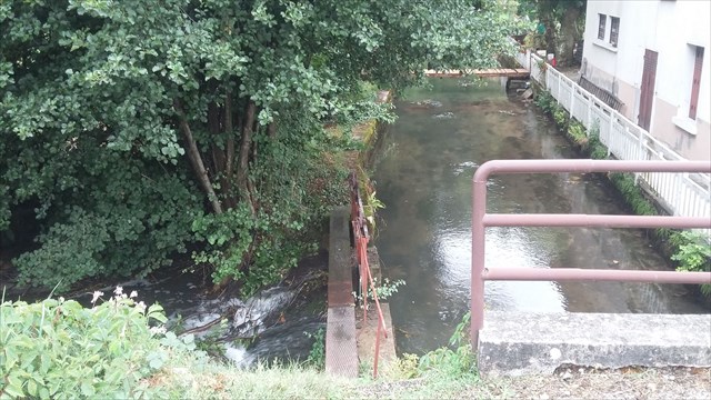 051279b8-6e1e-43fe-905c-7e8e125c30e3_l