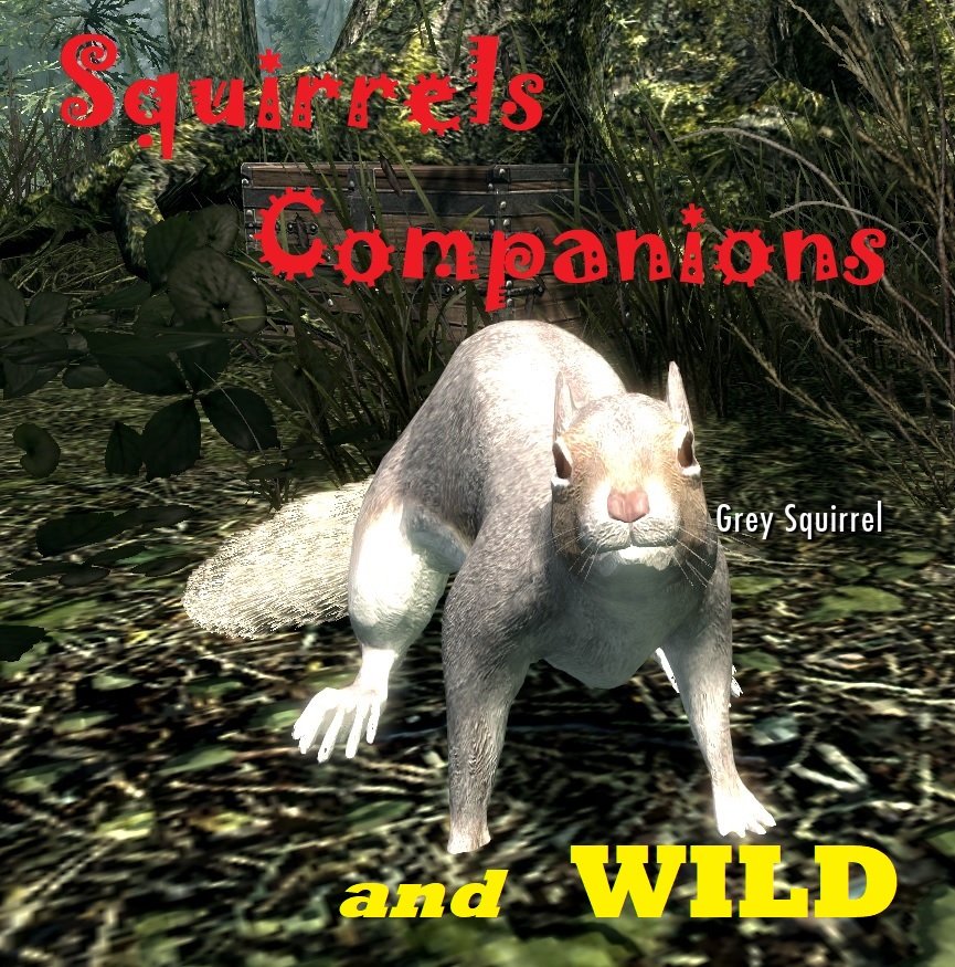Squirrels Companions and Wild