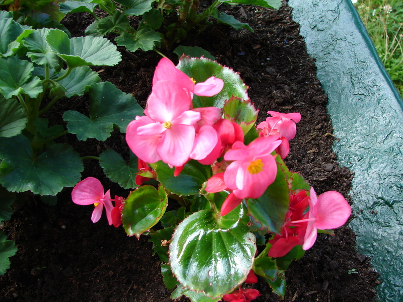DSC00026 DSC00026