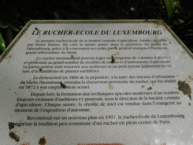 luxembourg (5)