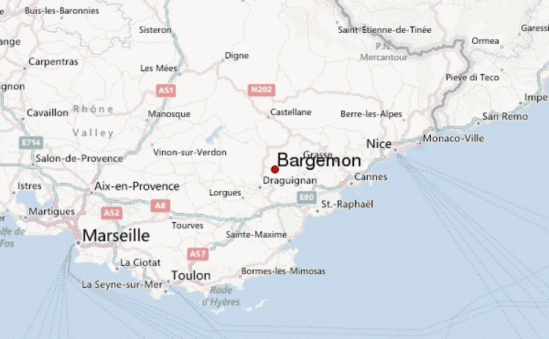 Bargemon.8