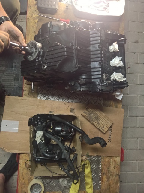 WP_20180623_20_20_20_Pro[1]