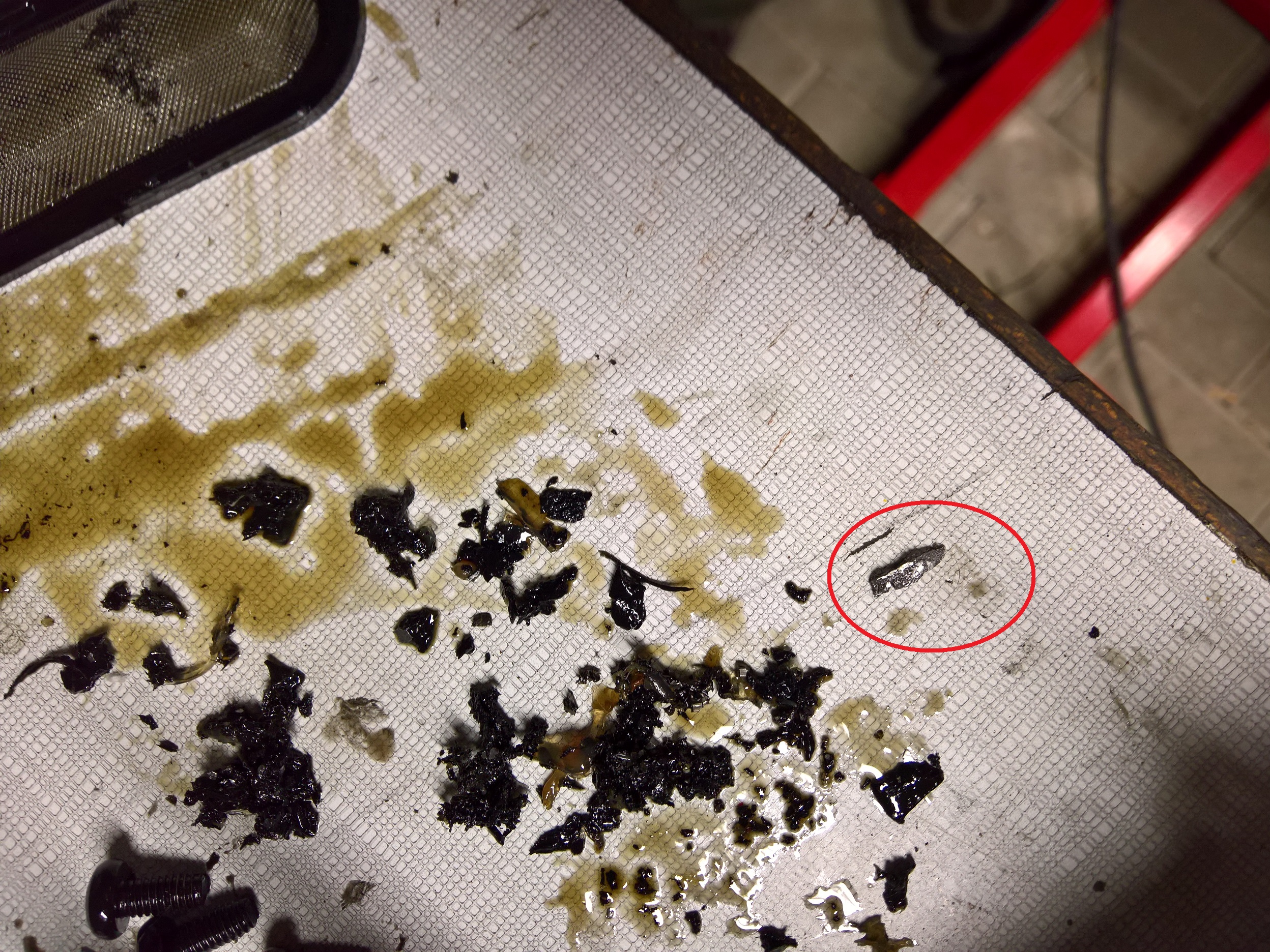 WP_20180623_20_44_52[1]