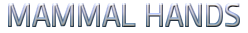 18070304303616244315790564.png