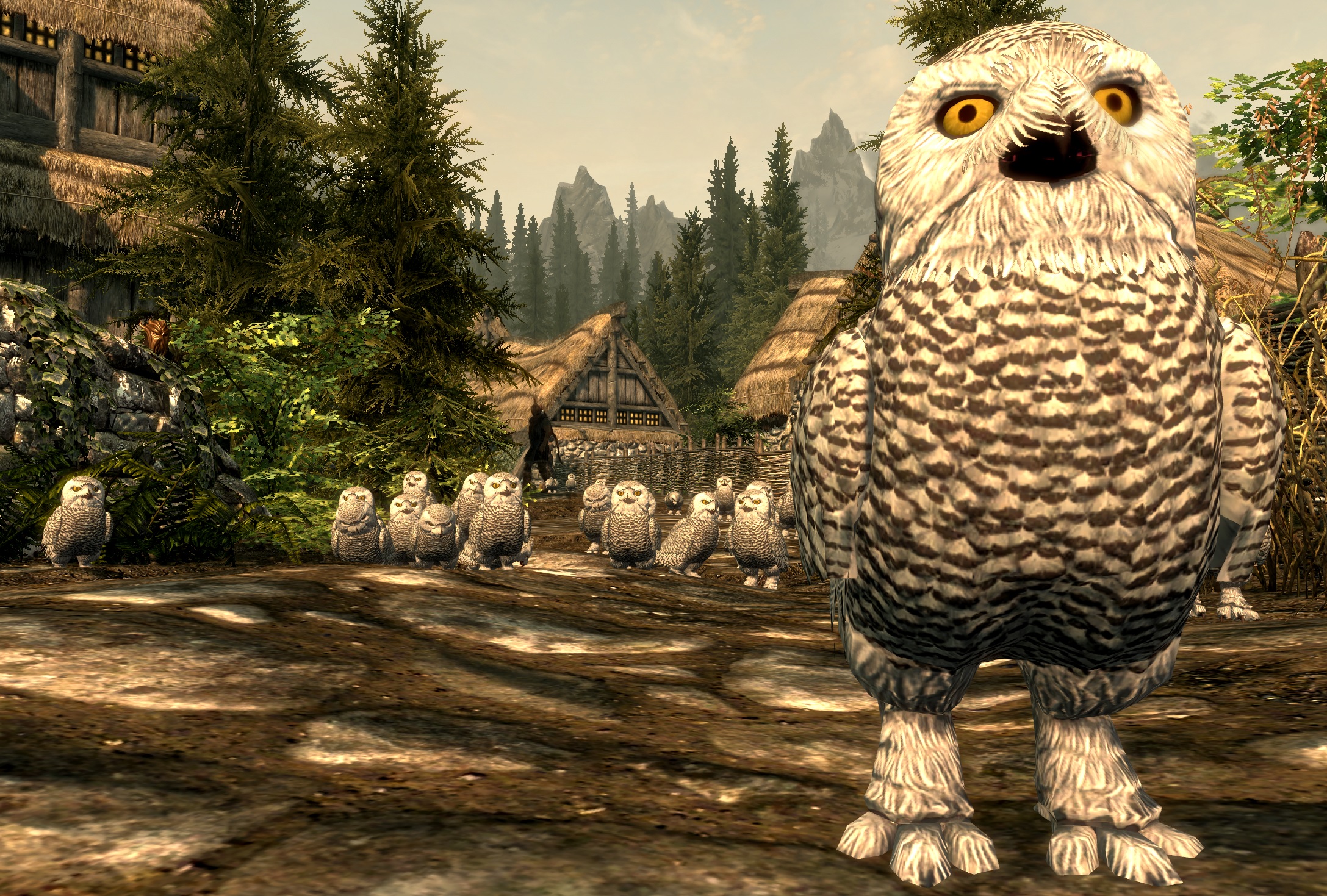 Owls 2