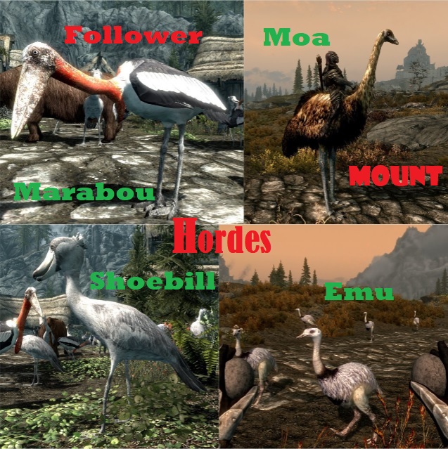 Moa and Co. Hordes - Follower and Mount