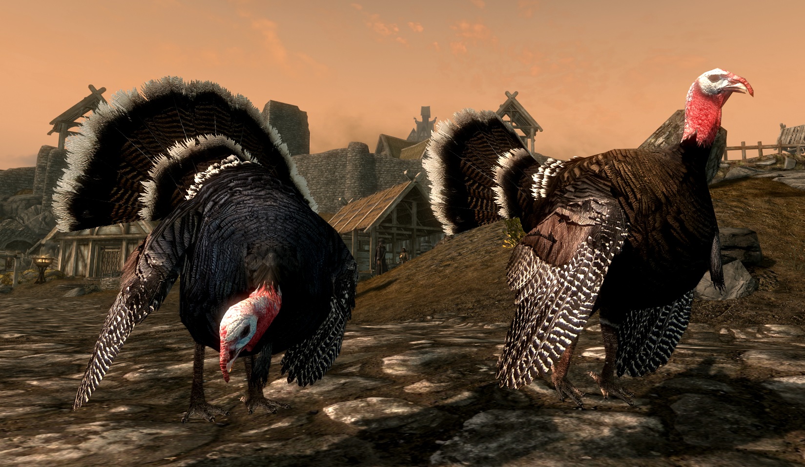 Curious Birds Of Skyrim Se At Skyrim Special Edition Nexus Mods And Community