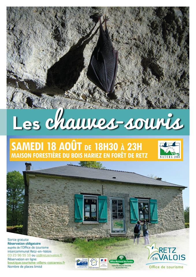 hebergement d'image
