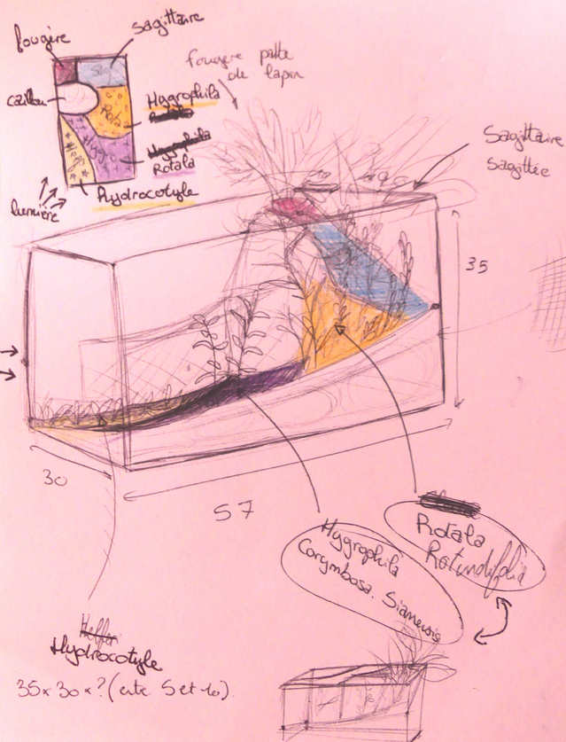 Mon projet aquarium low tech/aquascaping 18090410064717148915876713