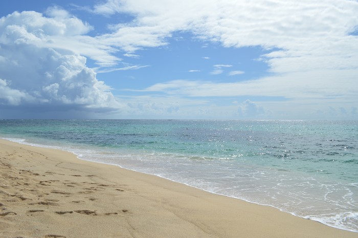 Le don d'anéantissement 18090902481724101015884203