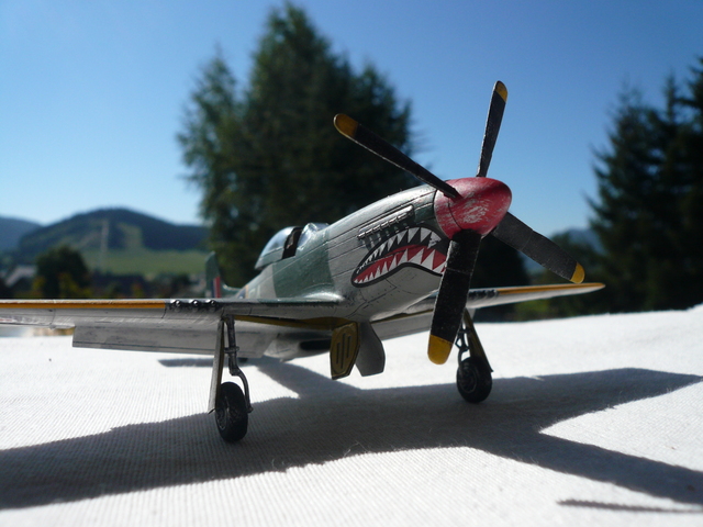 P51 Mustang Airfix  18091104454424324715887846