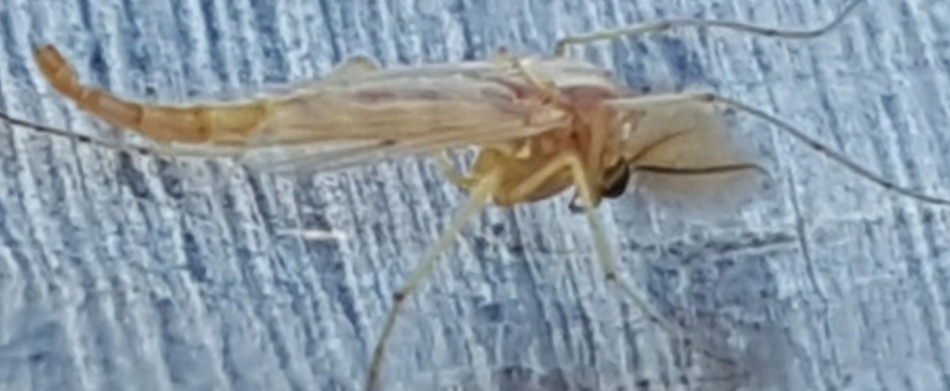 20180921_141231