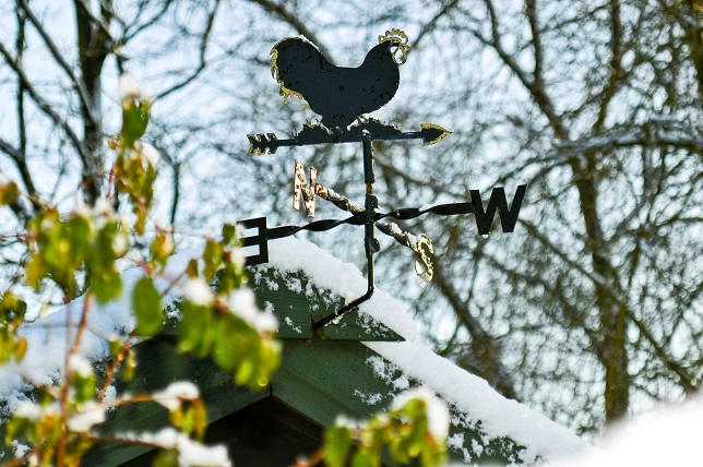 Wind Vane with Rooster