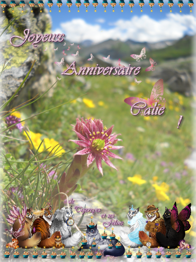 Anniversaire Calie