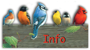 18102309475918893715958893.png