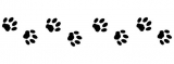 https://nsm09.casimages.com/img/2018/10/26//mini_18102608292822748215965148.jpg