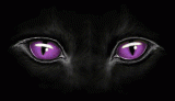 https://nsm09.casimages.com/img/2018/10/26//mini_18102608293422748215965150.gif