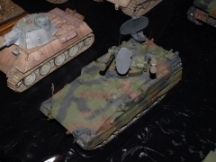 VELDHOVEN   2018 - _1013580