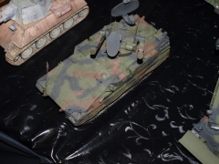 VELDHOVEN   2018 - _1013593