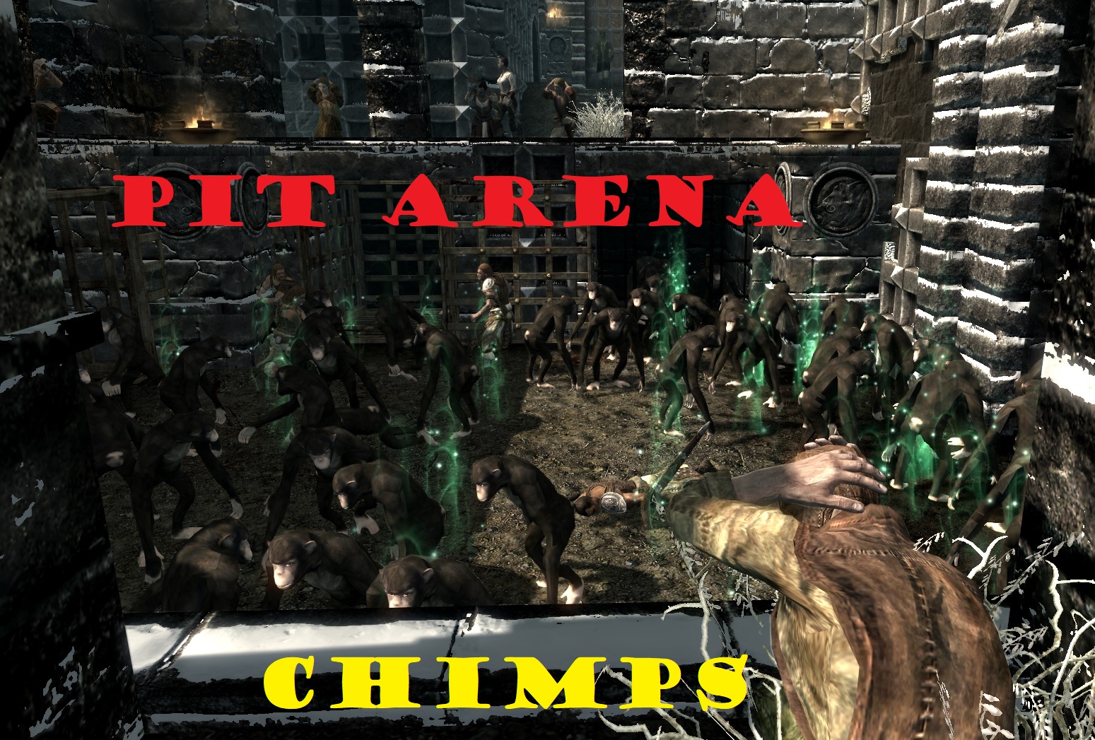 Pit Arena Chimps