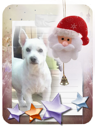 appy noel nikki 2018 appy noel nikki 2018