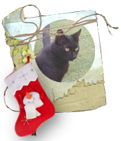 titi noel nikki 2018 titi noel nikki 2018
