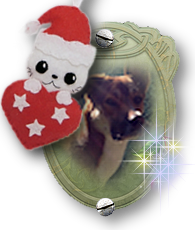 tony noel nikki 2018 tony noel nikki 2018