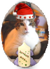 ulysse noel nikki 2018 ulysse noel nikki 2018