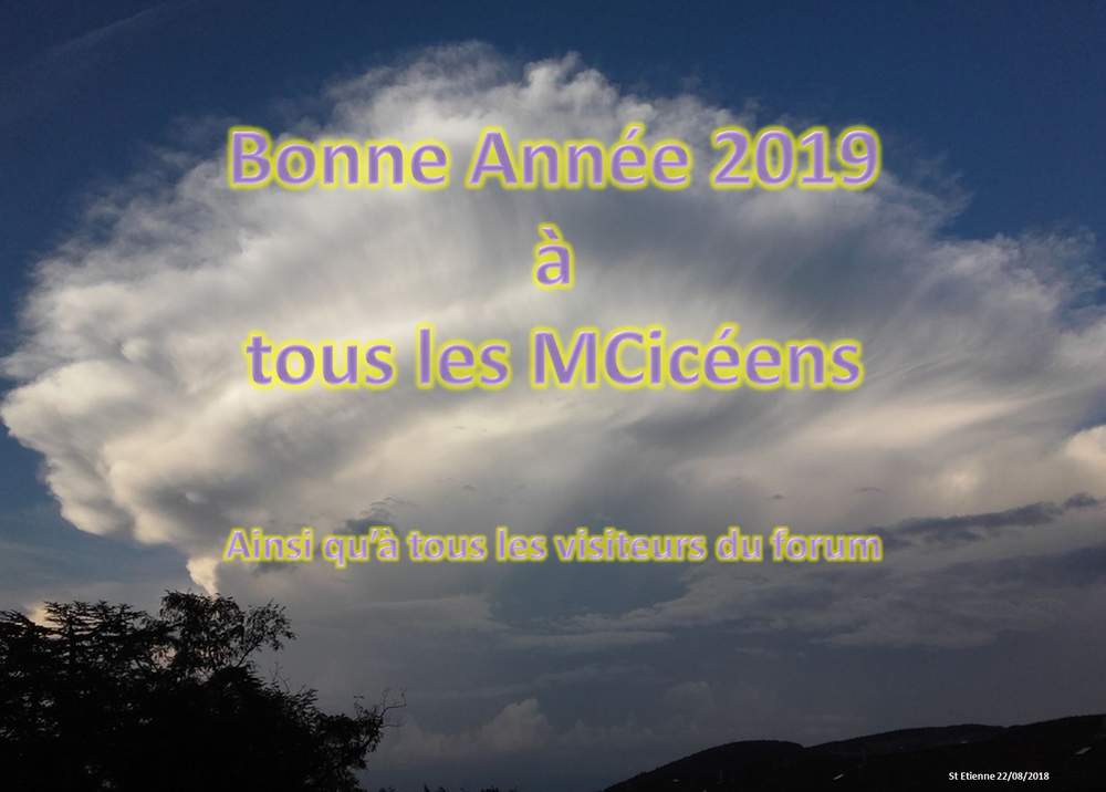 voeux IC 2019