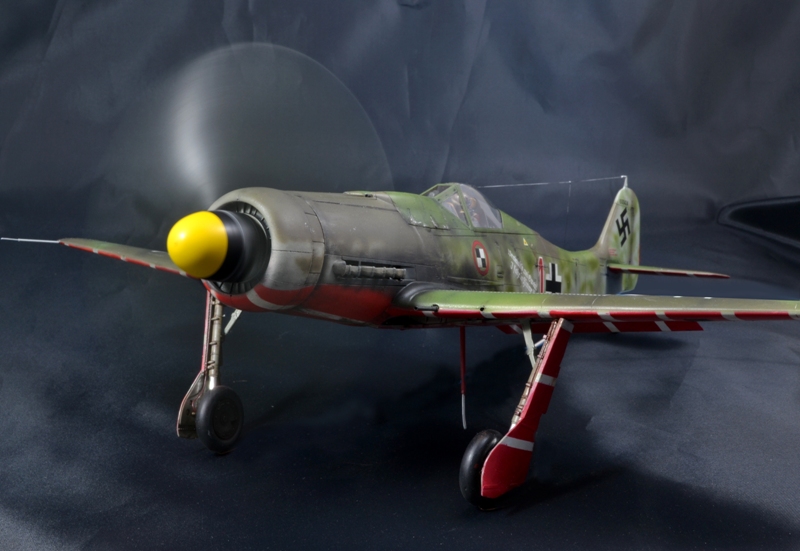 FW 190 D-9 Hasegawa 1/32 19011006155417786416071588