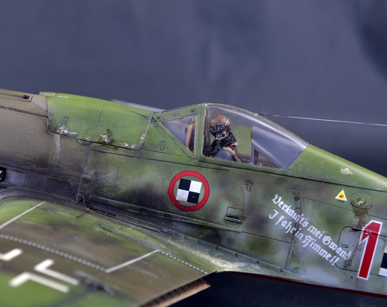 FW 190 D-9 Hasegawa 1/32 19011006155417786416071591