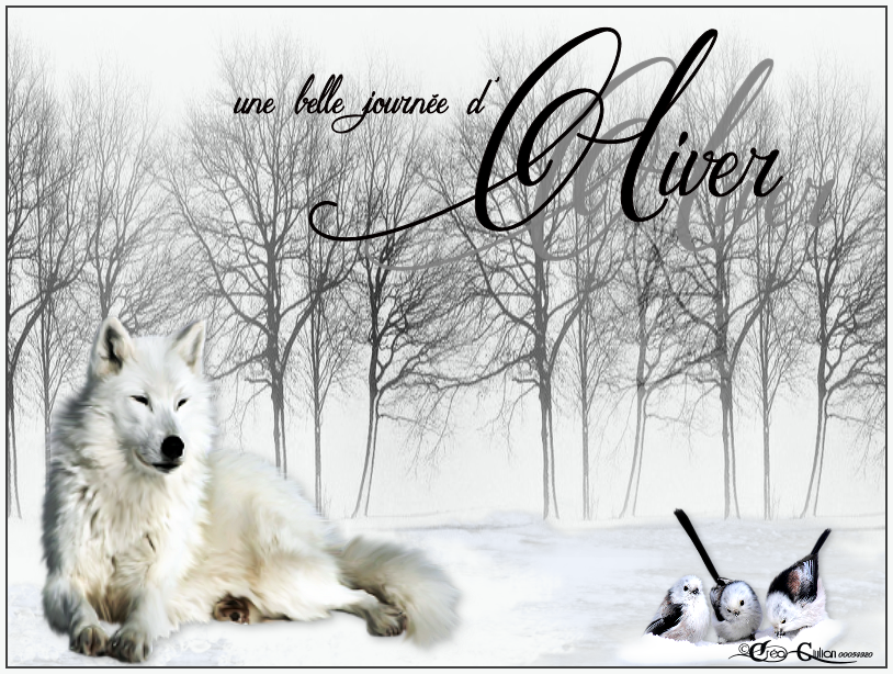 6. Hiver 010