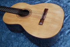 238 - Guitare Di Giorgio Student 1975 - DSCF9354