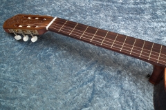 238 - Guitare Di Giorgio Student 1975 - DSCF9355