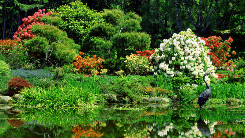 Oriental Garden, Shore Acres State Park, Oregon