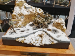 Palavas 2019  - IMG_20190217_141447