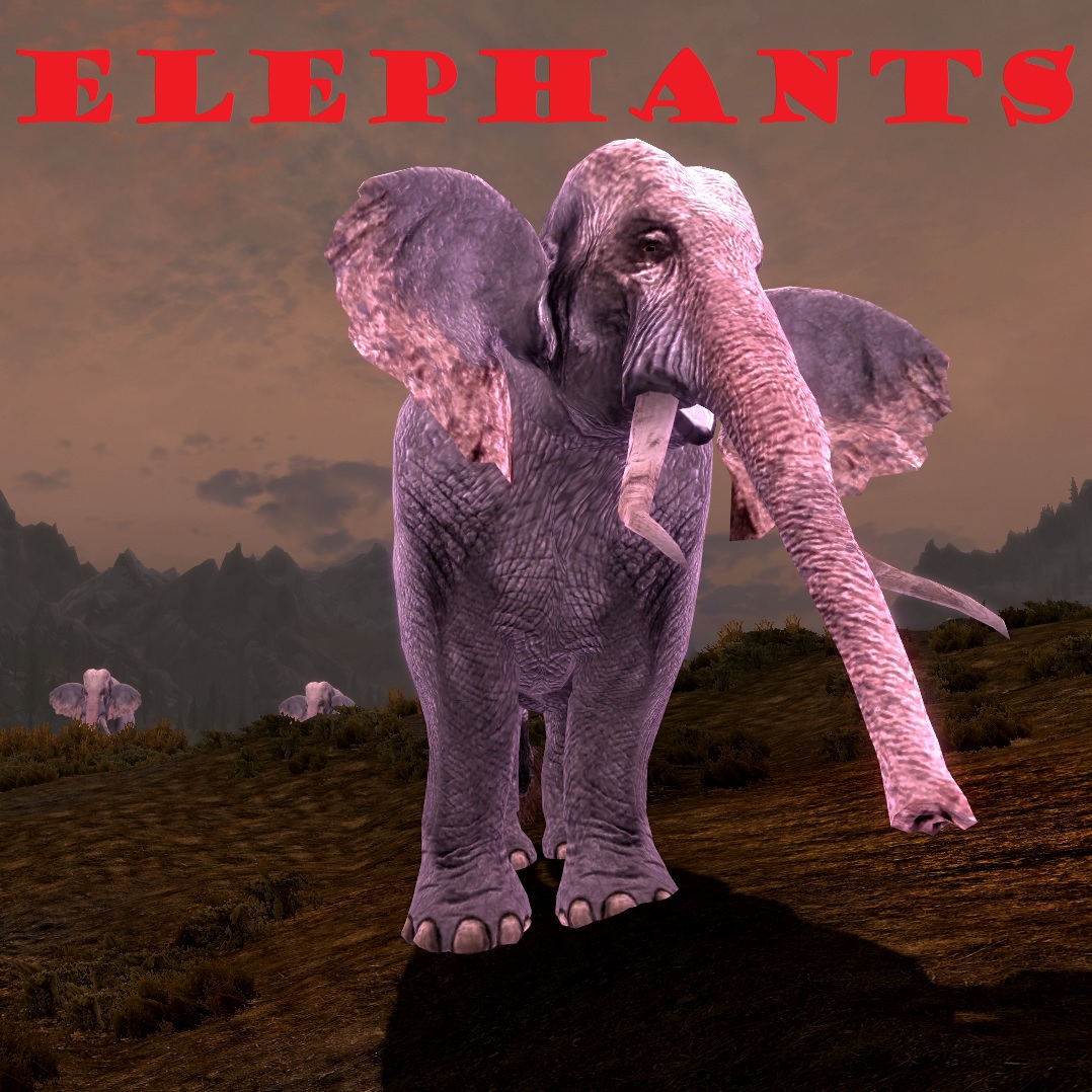 /></a>
<strong><span style=